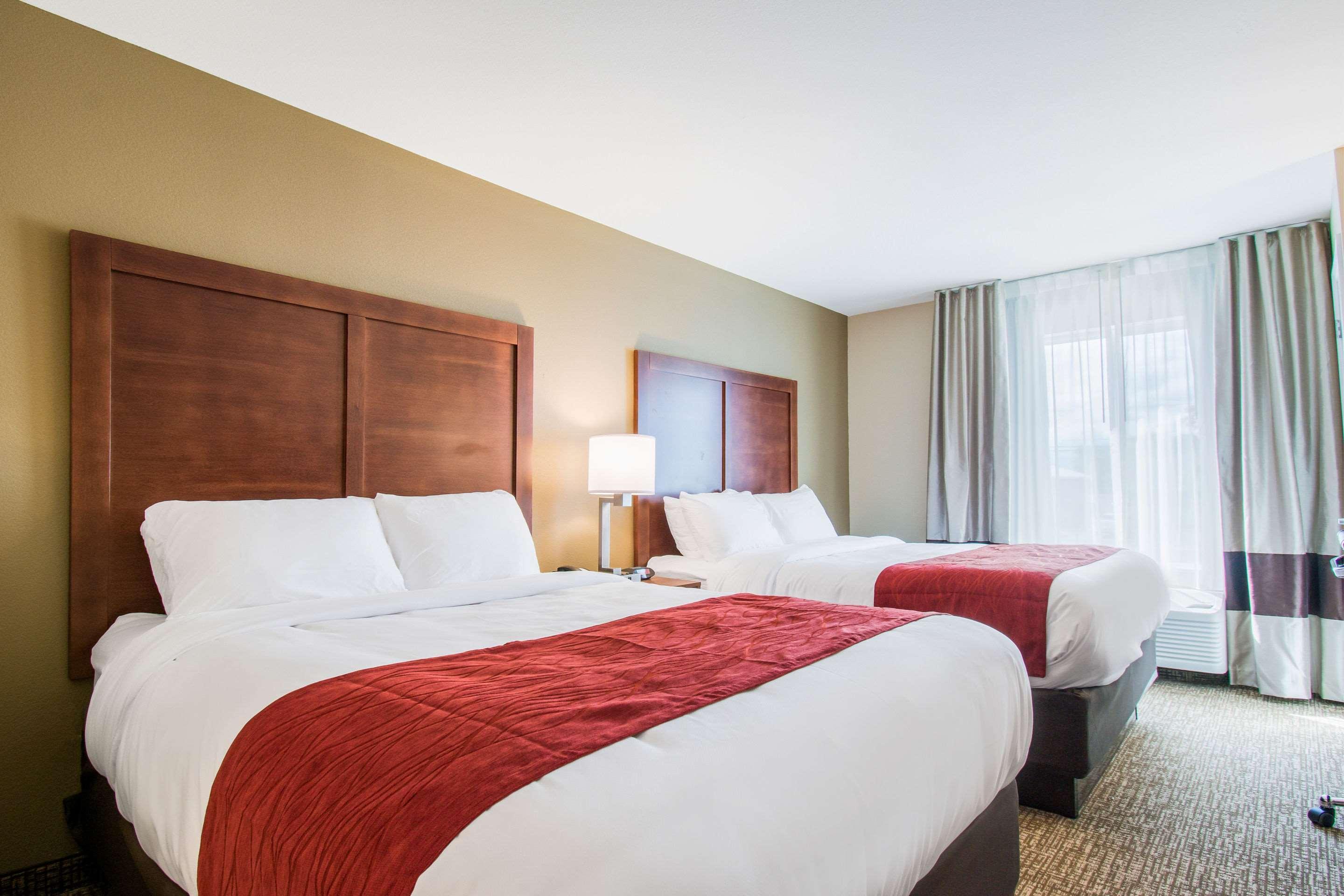 Comfort Inn & Suites Harrisburg - Hershey West Ngoại thất bức ảnh